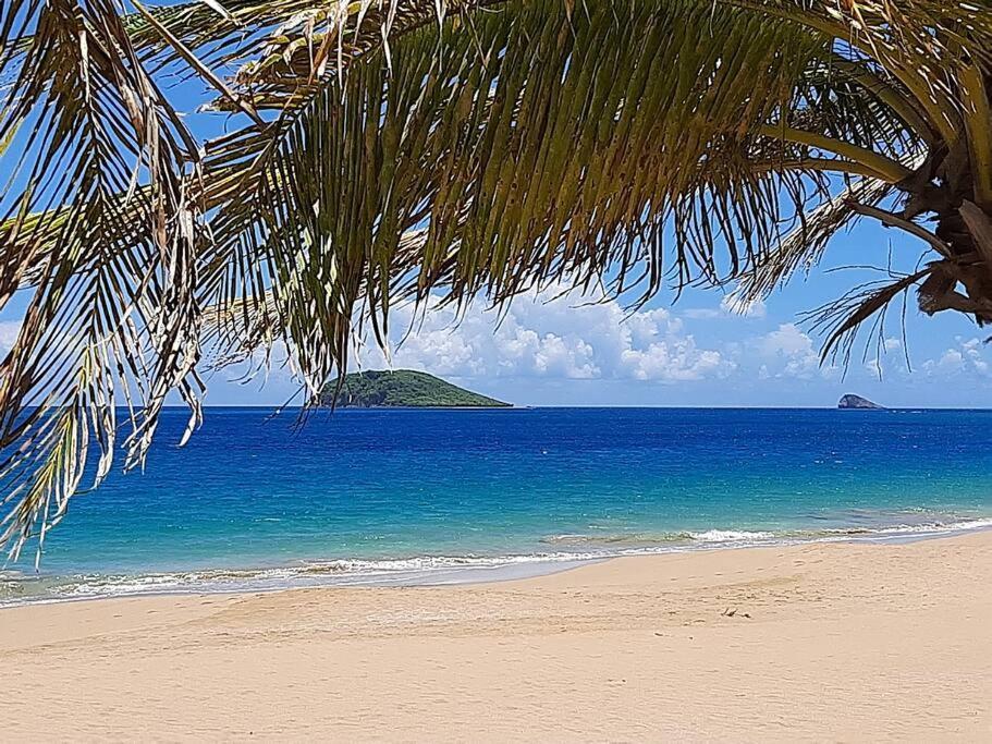 Caraibes Cottage Grenat Piscine Privee 900M De Grande Anse ديساي المظهر الخارجي الصورة