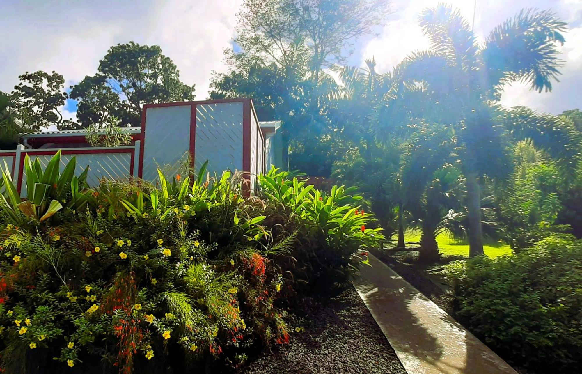 Caraibes Cottage Grenat Piscine Privee 900M De Grande Anse ديساي المظهر الخارجي الصورة