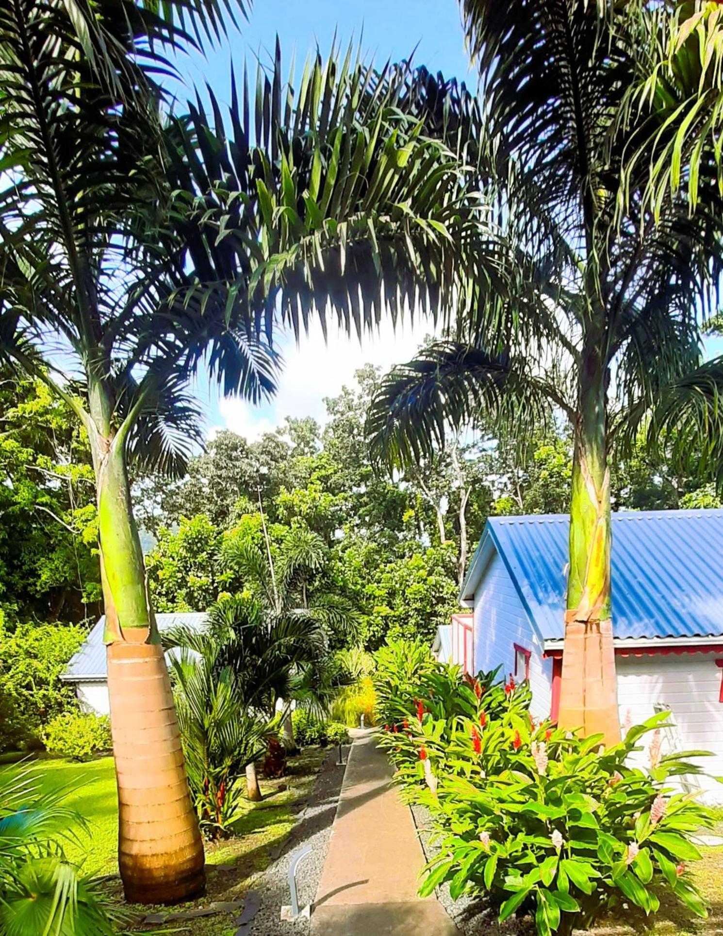 Caraibes Cottage Grenat Piscine Privee 900M De Grande Anse ديساي المظهر الخارجي الصورة