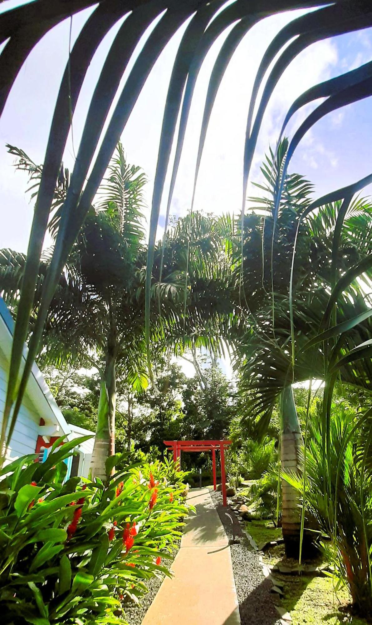 Caraibes Cottage Grenat Piscine Privee 900M De Grande Anse ديساي المظهر الخارجي الصورة