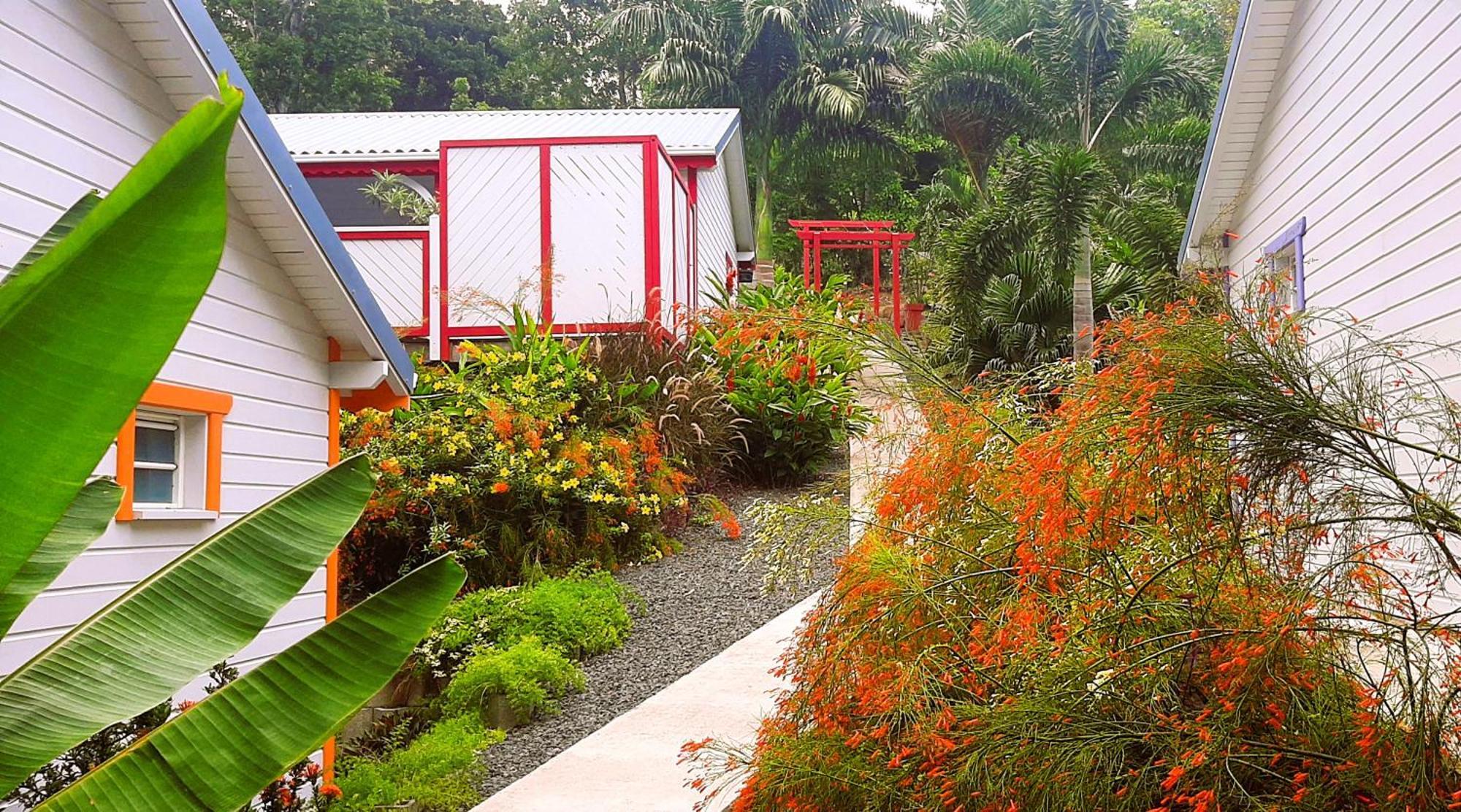 Caraibes Cottage Grenat Piscine Privee 900M De Grande Anse ديساي المظهر الخارجي الصورة
