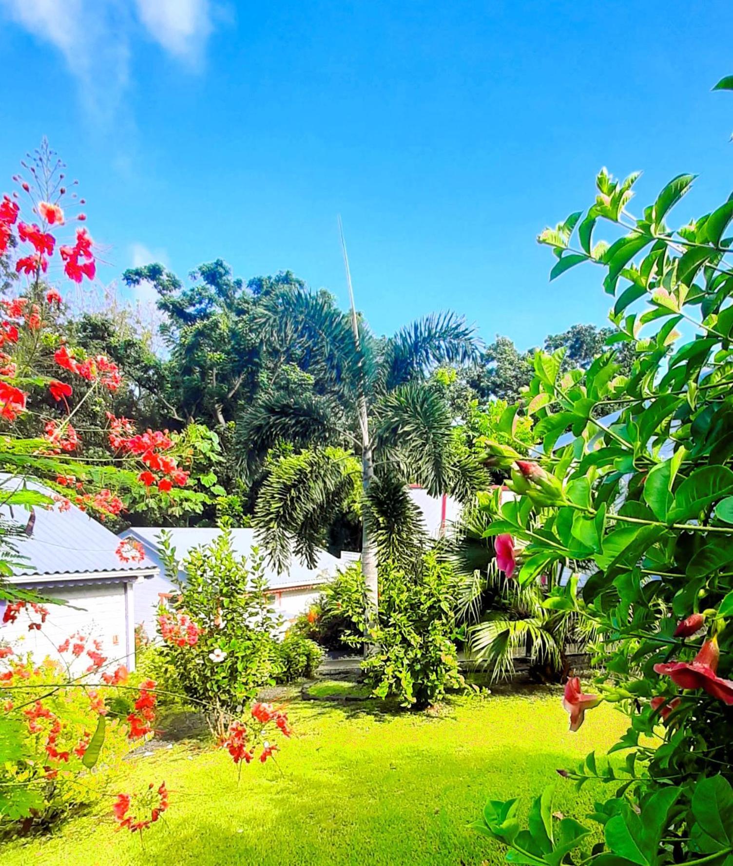 Caraibes Cottage Grenat Piscine Privee 900M De Grande Anse ديساي المظهر الخارجي الصورة